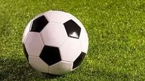 开宝体育 产品 095446 nsl